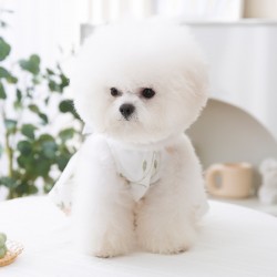 Dog Princess Clothes