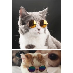 Custom Pet Windproof Sunglasses Accessories Pet Mini UV Protection Glasses for Cats and Dogs