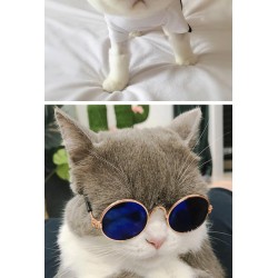Custom Pet Windproof Sunglasses Accessories Pet Mini UV Protection Glasses for Cats and Dogs