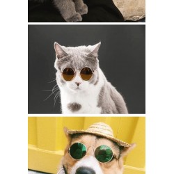 Custom Pet Windproof Sunglasses Accessories Pet Mini UV Protection Glasses for Cats and Dogs