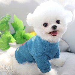 Summer Puppy Clothes