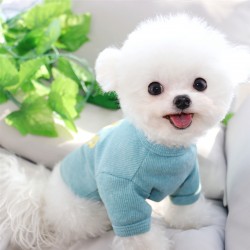 Puppy Clothes