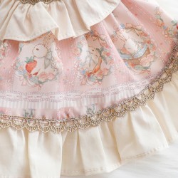 Custom Lolita Dog Dress Dress Luxury Pet Cat Princess Clothes with Phnom Penh Rabbit Print for Puppy Kitten