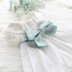 Mint Dog Dress