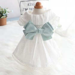 Summer Mint Dog Dress