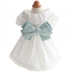 Summer Mint Dog Dress Pet Skirt Dog Clothes Bow Dog Princess Dress with Lace Decoration for Puppy