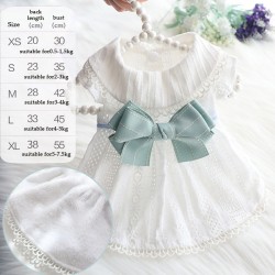 Summer Mint Dog Dress Pet Skirt Dog Clothes Bow Dog Princess Dress with Lace Decoration for Puppy