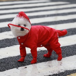 Custom Waterproof Dog Raincoat Surrounded with Dog Shoes Summer Cloth CLASSIC Solid Dog Rain Coat Coats & Jackets