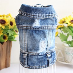 Pet Ripped Jeans