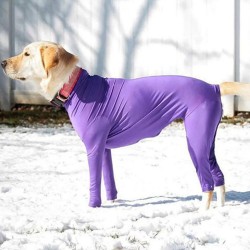 Custom Dog Onesie Clothes Car Travel Anxiety Calming Shirt Surgery Recovery Body Jumpsuit for Large Dogs