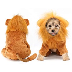 Custom Puppy Lion Costume