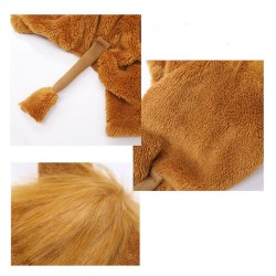 Lion Costume