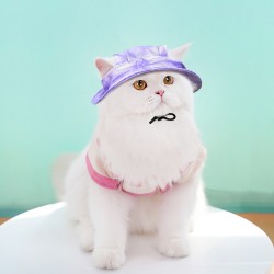 Adjustable Pet Fisherman's Hat