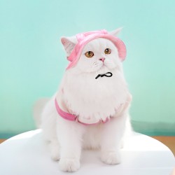 Adjustable Pet Fisherman's Hat with Open Ears Dog Cat Sun Hat Pet Headwear