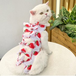 Cat Sterilization Surgery Costume Suit Vest Weaning Clothes Anti-mite Summer Breathable Physiological Clothes Pet Supplies