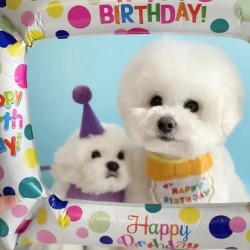 Pet Birthday Scarves