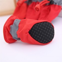 Dog Shoes
