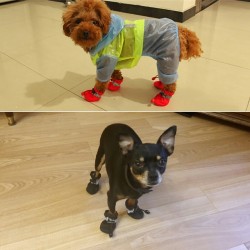 Custom Pet Warm Shoes Bottom Breathable Waterproof Dog Shoes Go Out Pet Dog Rain Boots