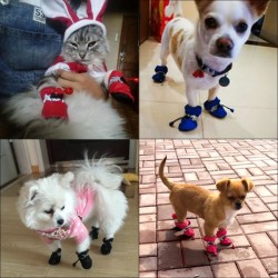Custom Pet Warm Shoes Bottom Breathable Waterproof Dog Shoes Go Out Pet Dog Rain Boots