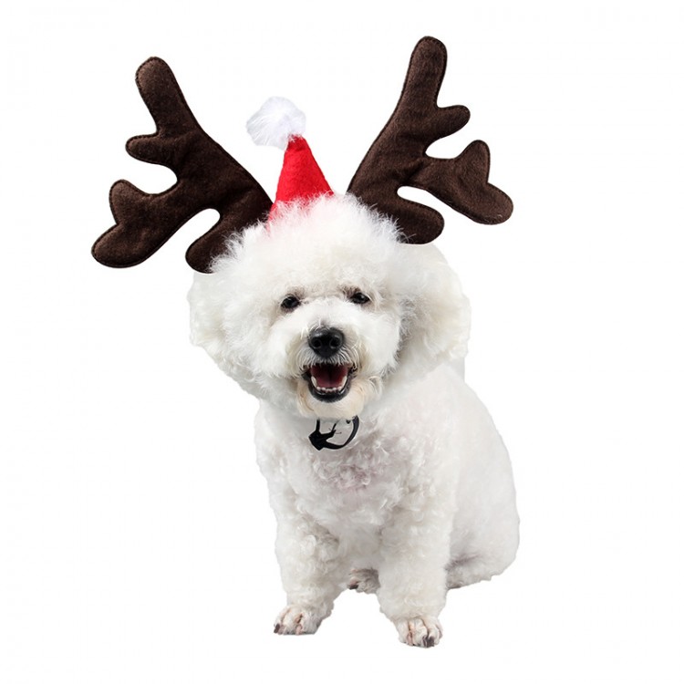 Pet Headwear Rice Reindeer Pet Headwear Rice Reindeer