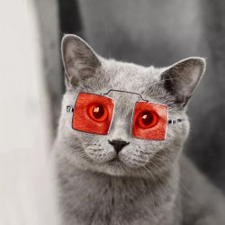 Cat Sunshade Glasses