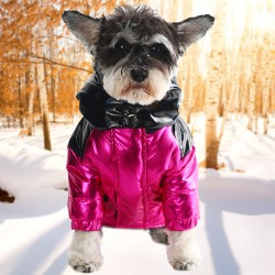 Custom Dog Warm Jacket Brand Winter Warm White Sports Hoodies Customized Logo Fashion Halloween Solid