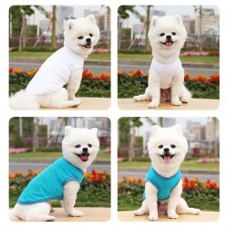 Blank Dog T-shirt