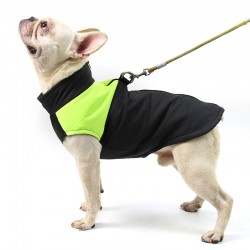 Dog Coat