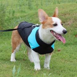 Winter Dog Coat