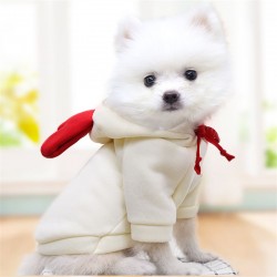 Small Dog Hoodie