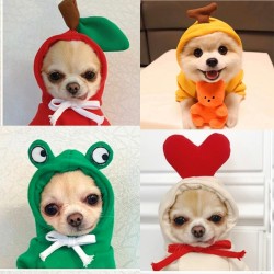 Dog Hoodie