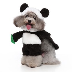 Pet Clothes