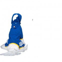 Dog Four-legged Raincoat