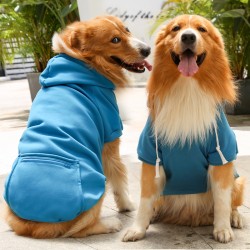 Sweater Hoodies