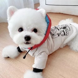 Popular Dog Winter Coat Puppy Teddy Hoodie Cat Dog Coat Manufacturer Wholesale Luxury Cute Print