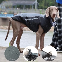 Pet Winter Jacket