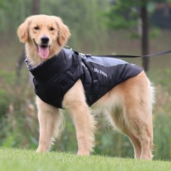Custom Pet Winter Jacket Waterproof Fur Collar Medium and Large Dog Jacket