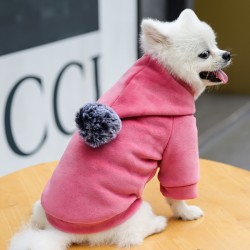 Hooded Velvet Dog Sweater Thickened Two-leg Sweater Pet Clothing Factory Wholesale Gold Cartoon Winter Clothes for Women