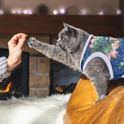 Breathable Dog Beach Shirts New Design Dog Summer Polyester Cartoon Print Pet Apparel Vests Stocked