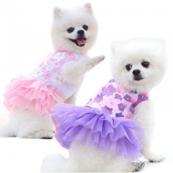 Cat Teddy Skirts