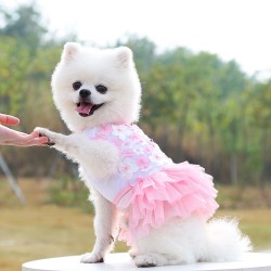 Teddy Skirts