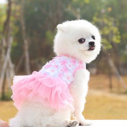 Summer Cat Teddy Skirts Cat Clothes Teddy Bear Pet Supplies T-shirts Cute Luxury Clothes Solid Vests