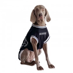 Custom Dog Summer Shirt