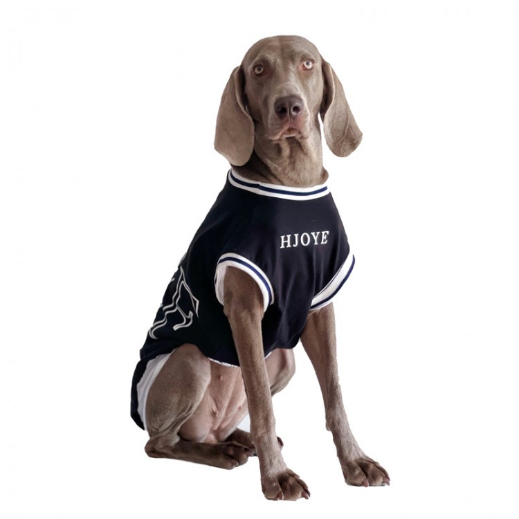 Custom Dog Summer Shirt Custom Dog Summer Shirt