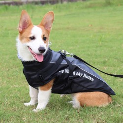 Wholesale Pet Cotton Coats Autumn and Winter New Big Dog Clothes Warm Reflective Dog Clothes Thickened Dog Jackets