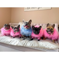 Dog Warm Sweater