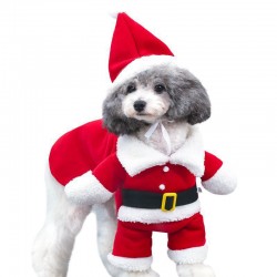 Christmas Pet Transformed Hoodies