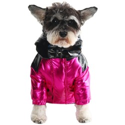 Dog Down Winter Jacket