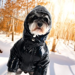 Winter Jacket