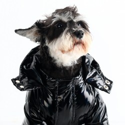 Dog Down Winter Jacket Luxury Clothes Opp Bag Classic New Cartoon Designer High Quality Autumn Winter Baby